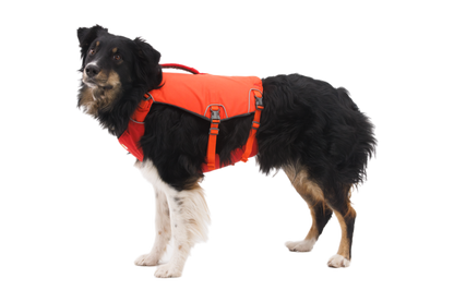 Confluence™ Dog Life Jacket