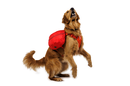 Palisades™ Dog Pack