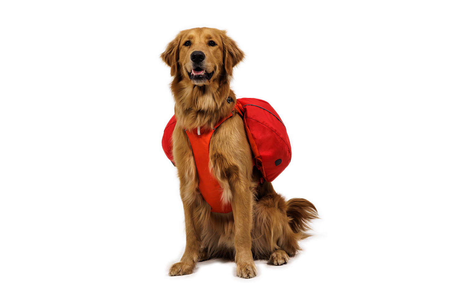 Palisades™ Dog Pack