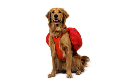 Palisades™ Dog Pack