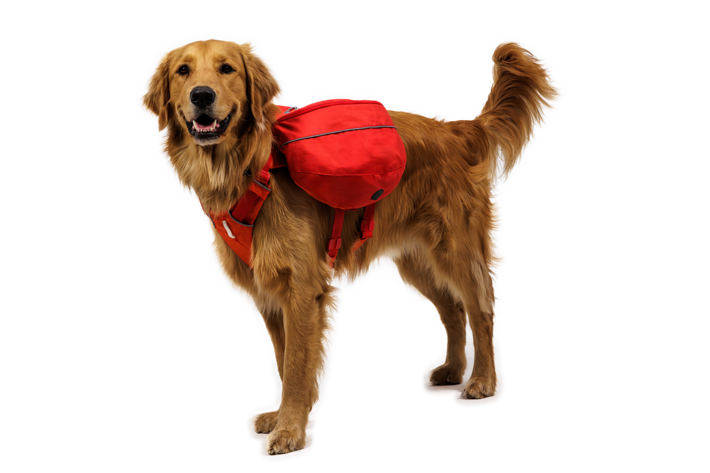 Palisades™ Dog Pack