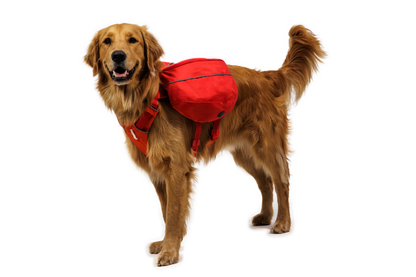 Palisades™ Dog Pack