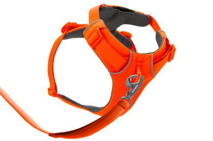 Front Range® Dog Harness