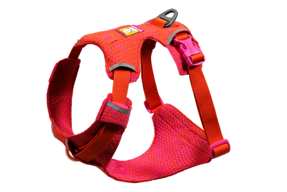 Front Range® Flex Harness