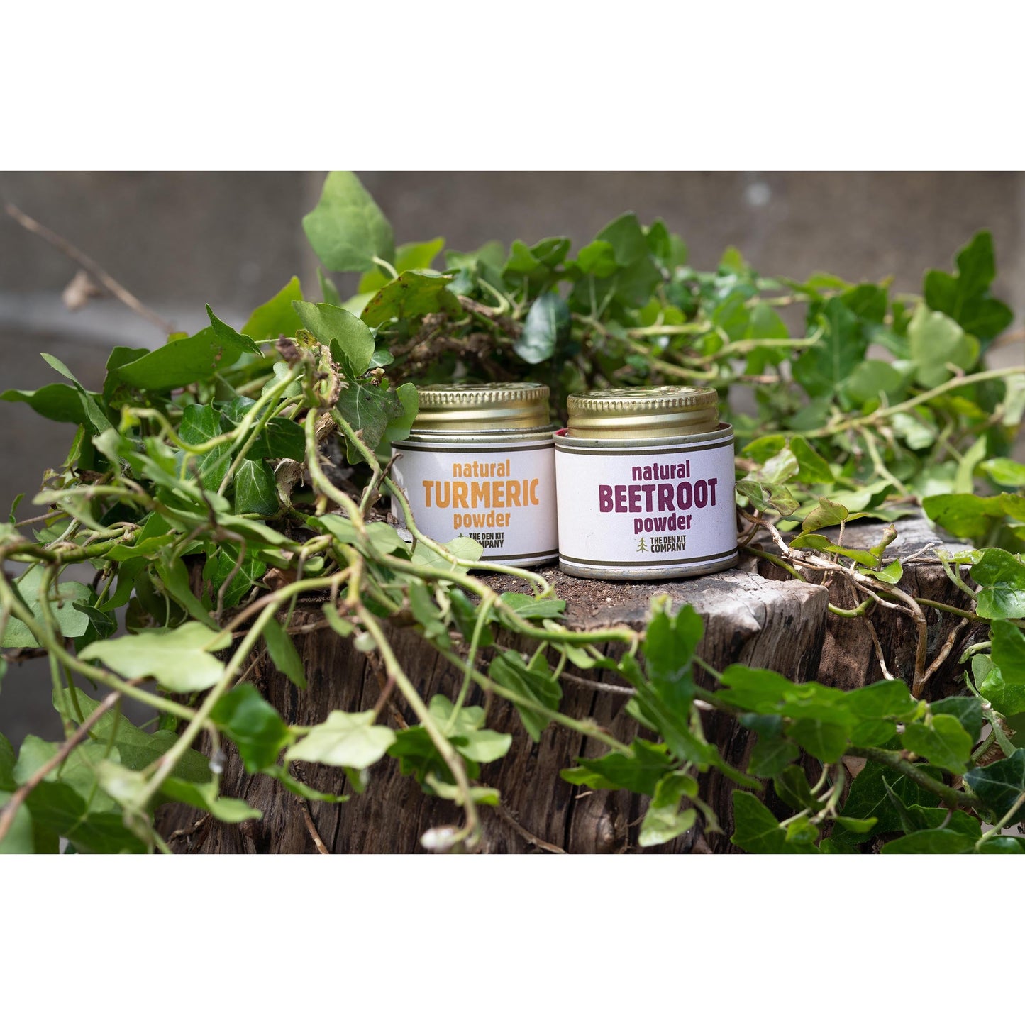 The Den Kit Company - The Potion Making Kit