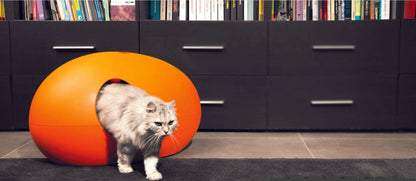 Design Cat Litter Box