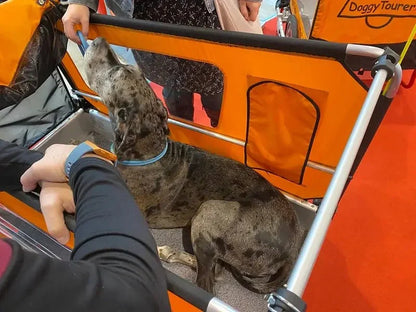 Doggy Tourer Beethoven XL Dog Bike Trailer
