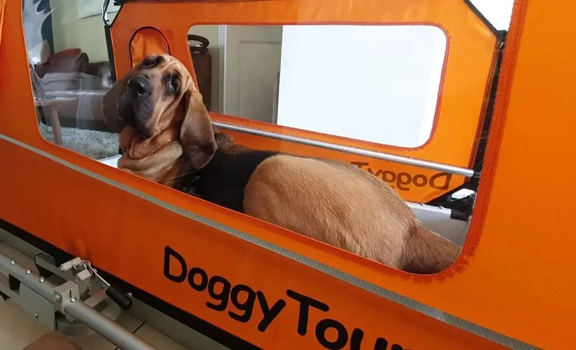Doggy Tourer Beethoven XL Dog Bike Trailer