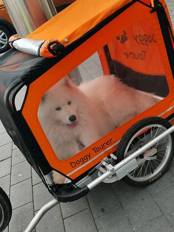 Doggy Tourer Idefix Small Dog Bike Trailer