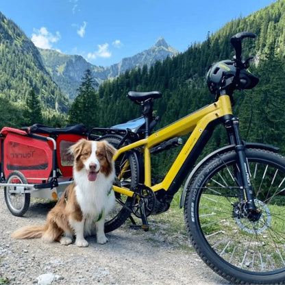 Doggy Tourer Snoopy Medium Dog Bike Trailer