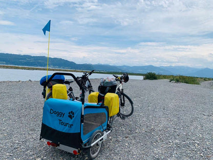 Doggy Tourer Snoopy Medium Dog Bike Trailer
