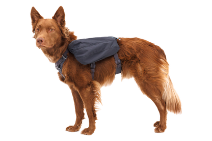 Front Range™ Day Pack