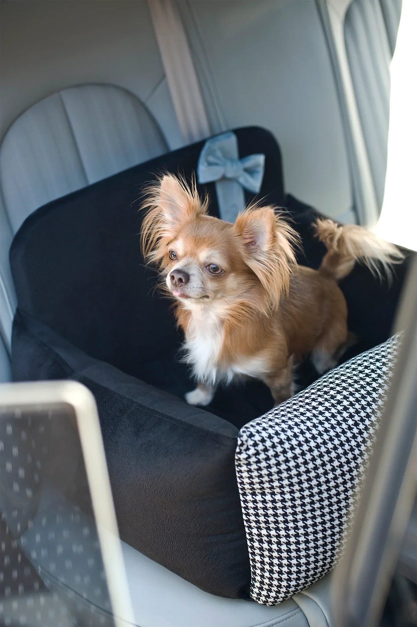 Oh Charlie Dog Car Seat Bed Finessa