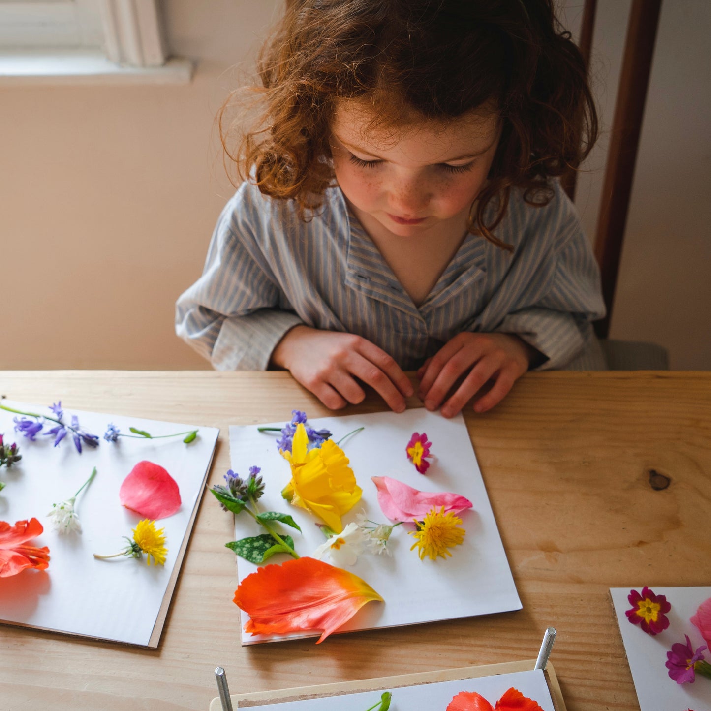 My Botanical Press