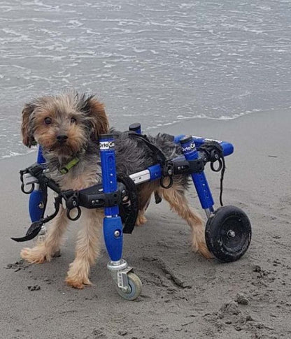 Walkin Wheels® SMALL Front Wheels Attachment