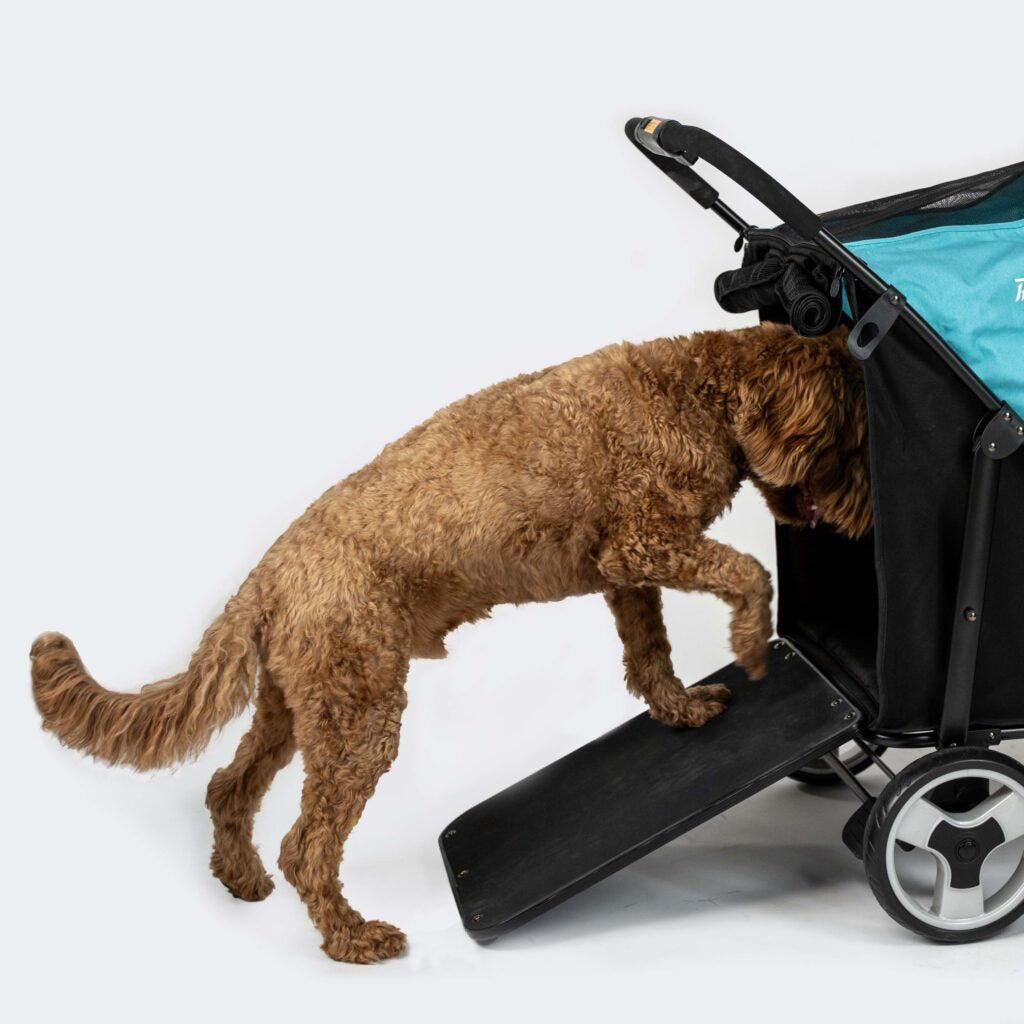 Ibiyaya Grand Cruiser / InnoPet Mamut Portable Dog Ramp & Mud Shield