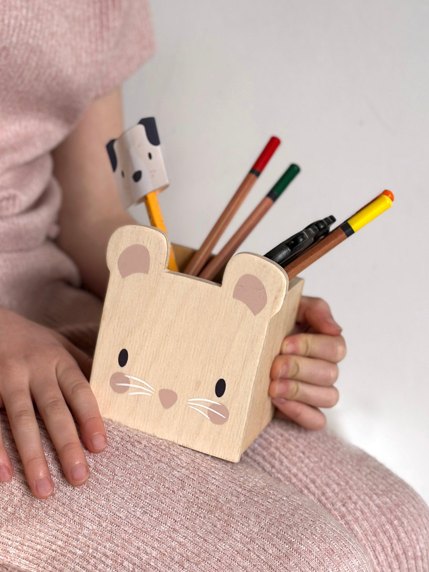 Pet Pencil Holders