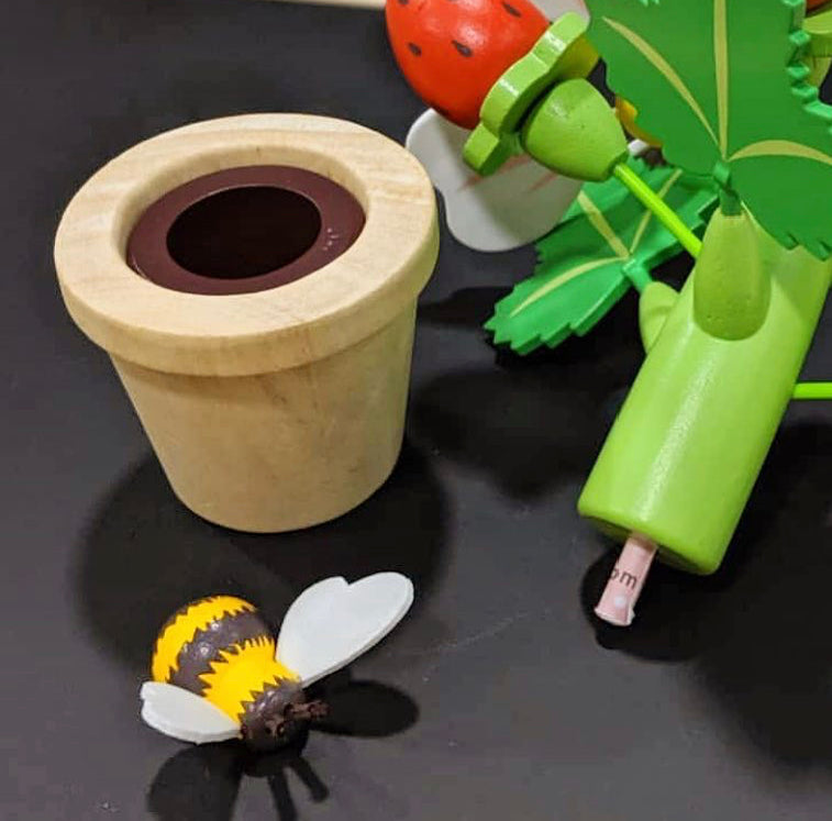 Strawberry Flower Pot