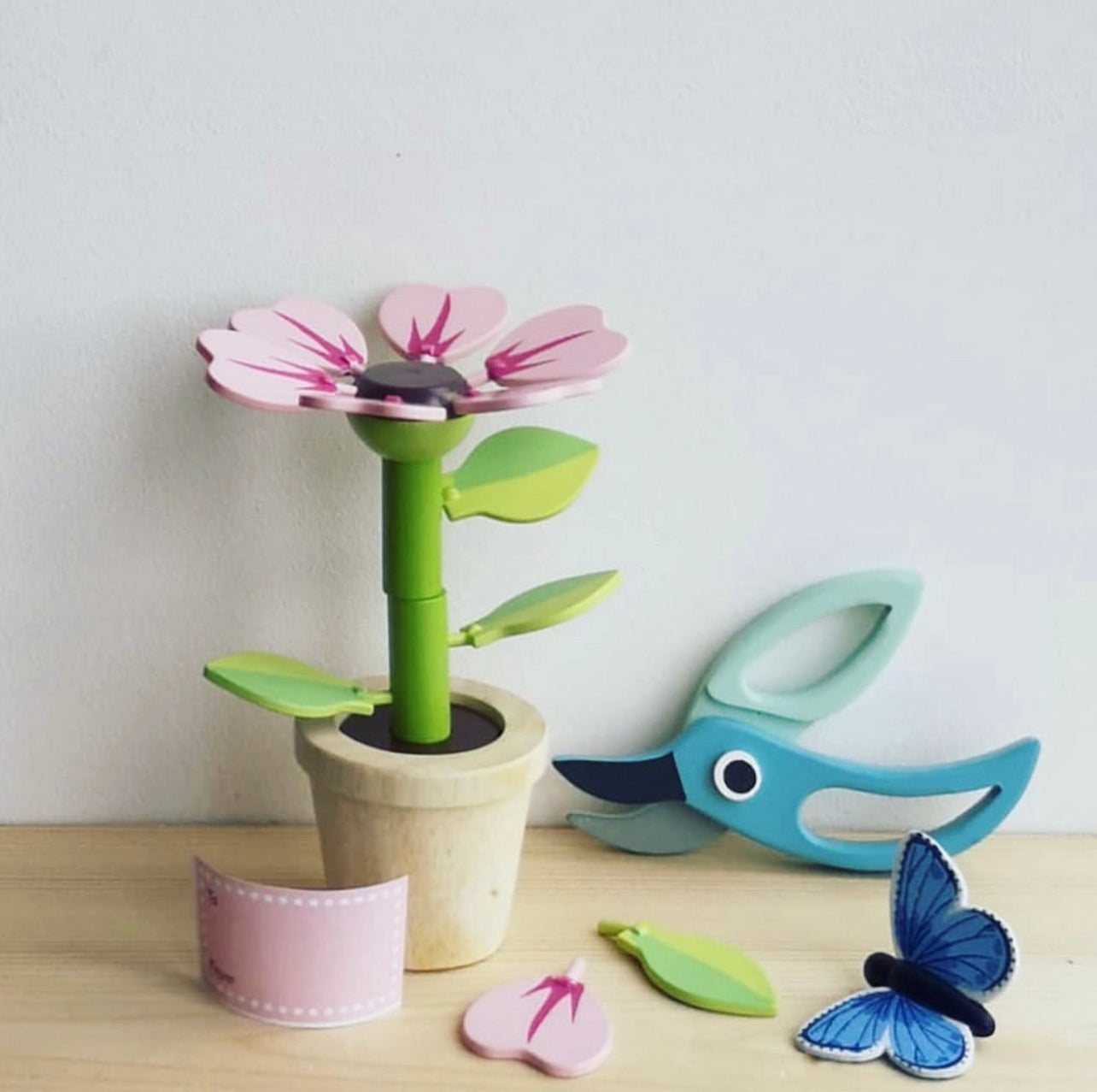 Blossom Flowerpot Set