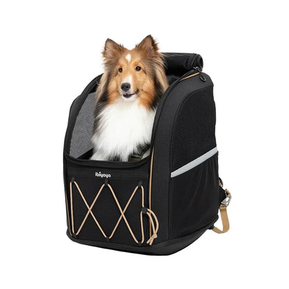 Ibiyaya 3-in-1 Champion Large Backpack Dog Carrier