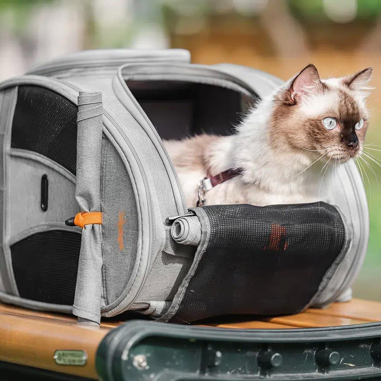 Ibiyaya Adventure Cat Carrier Backpack | Airline-Approved