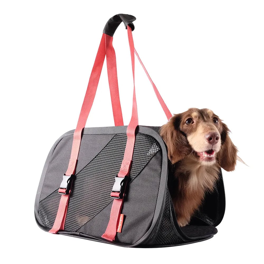Ibiyaya Flying Pal Foldable Pet Travel Carrier | Airline-Approved