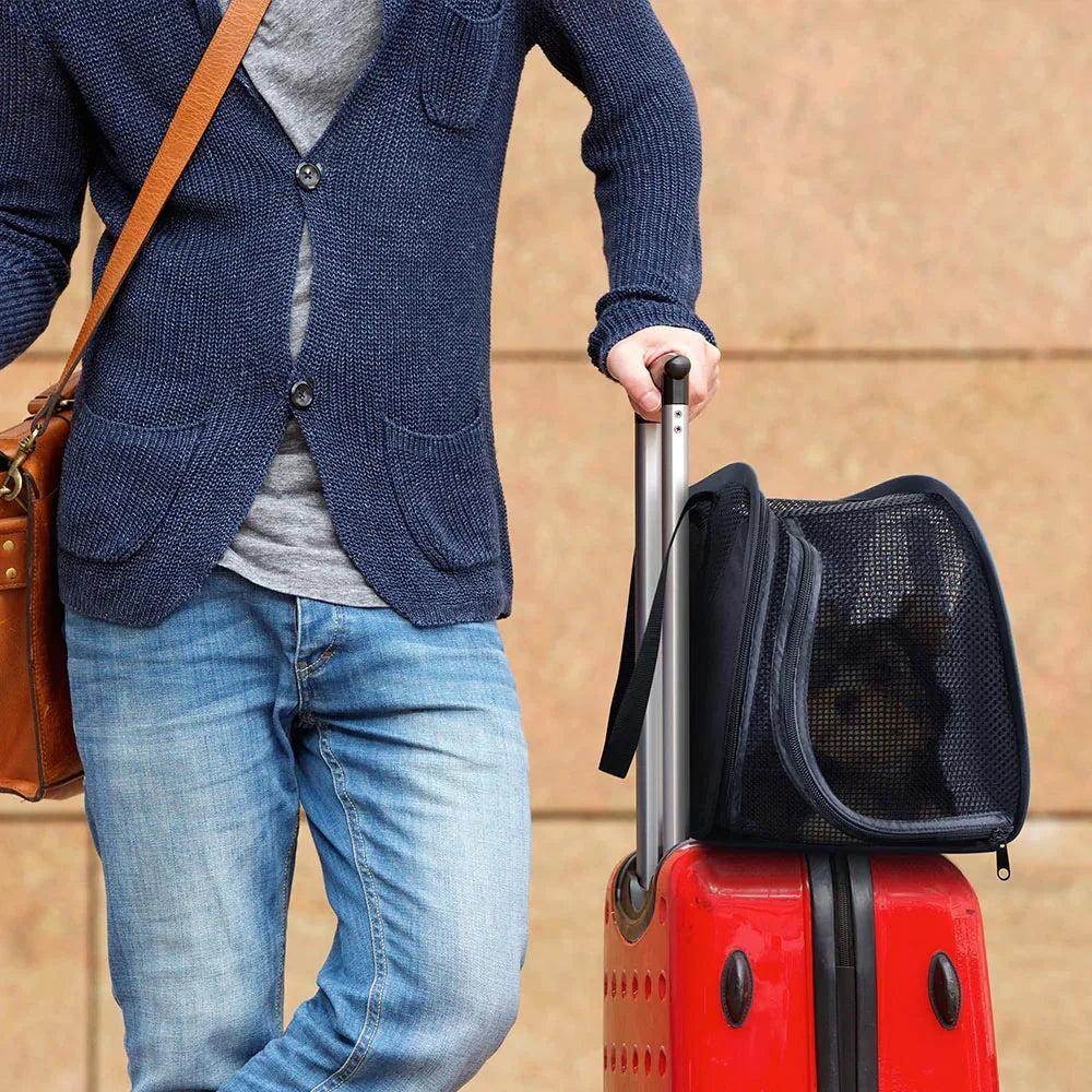 Ibiyaya Flying Pal Foldable Pet Travel Carrier | Airline-Approved