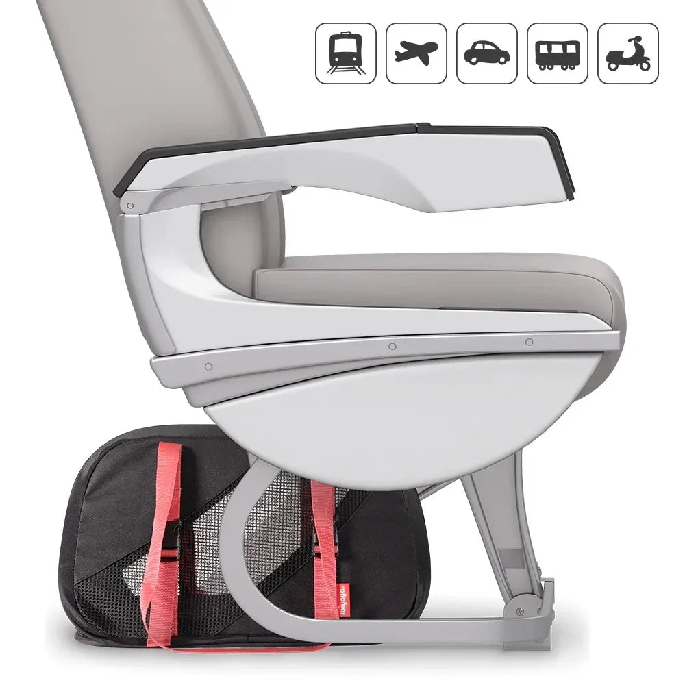 Ibiyaya Flying Pal Foldable Pet Travel Carrier | Airline-Approved