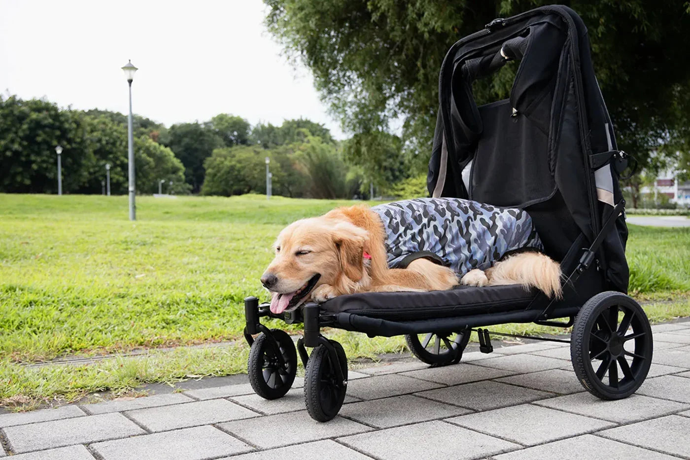 Ibiyaya Grand Cruiser Large Dog Stroller | + Included Supportive Cushion
