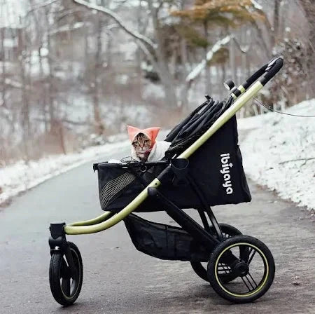 Ibiyaya The Beast Dog Jogging Stroller