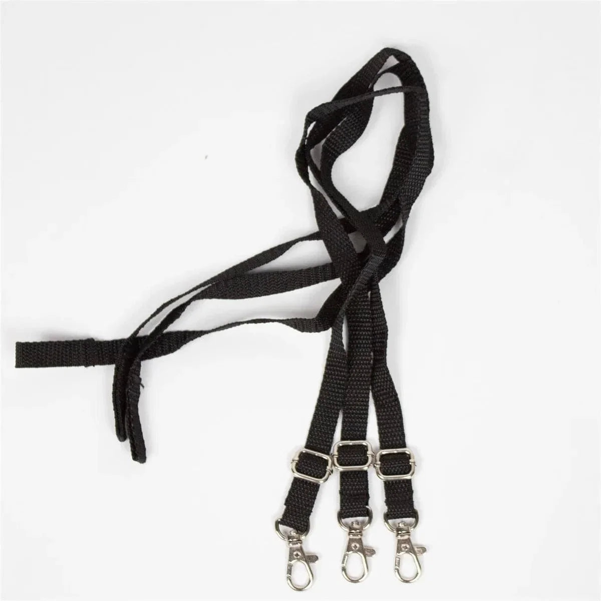 InnoPet Dog Stroller Leash Set of 3