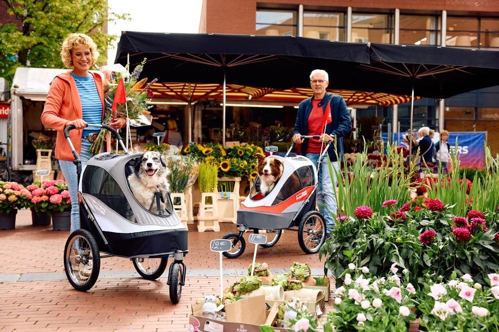 InnoPet Dog Stroller Leash Set of 3
