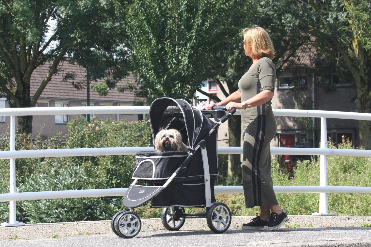InnoPet Monaco Dog Pram With Free Rain Cover