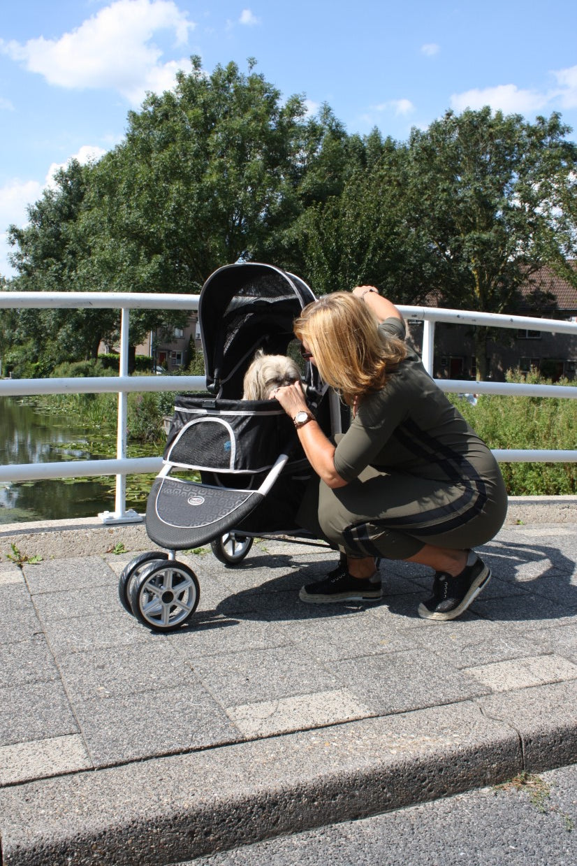 InnoPet Monaco Dog Pram With Free Rain Cover
