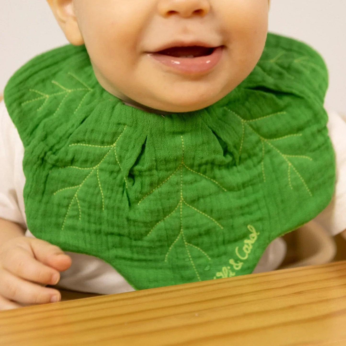 Oli&Carol Kendall the Kale Feeding Bib