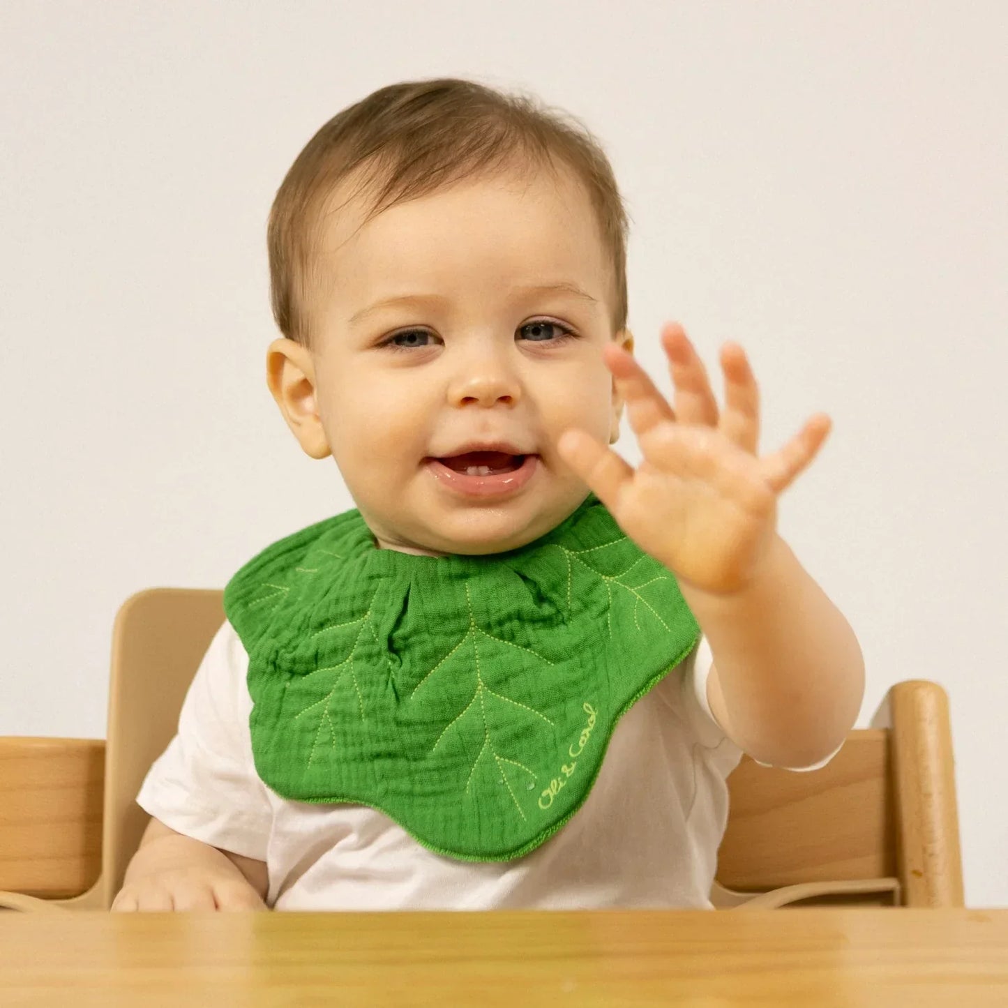 Oli&Carol Kendall the Kale Feeding Bib