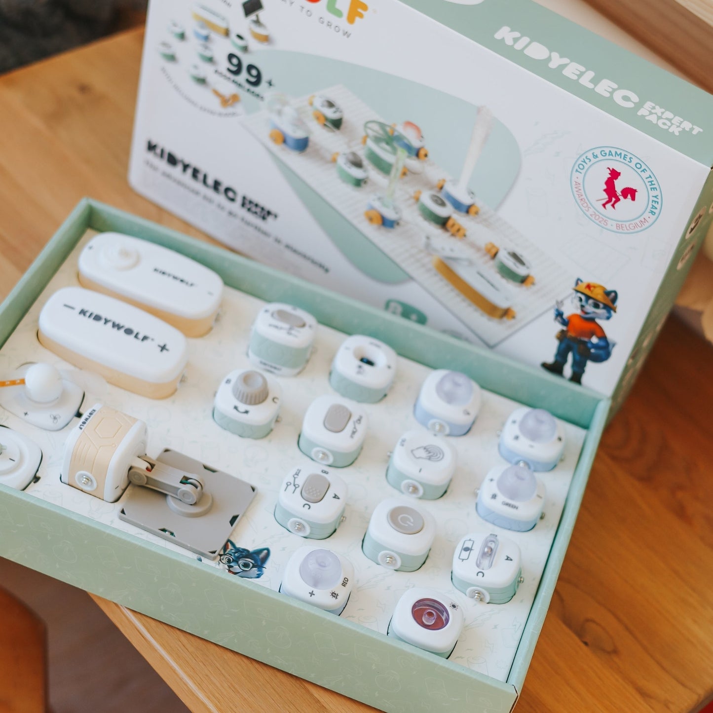 KIDYELEC My First Electrical Kit Expert Pack