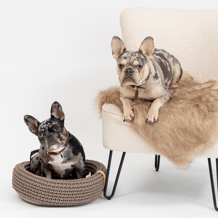 Labbvenn COCO Pet Bed