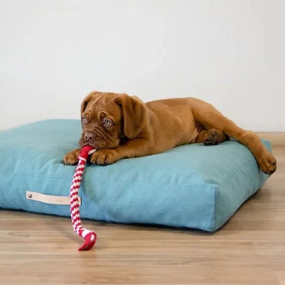 Labbvenn COPENHAGEN Dog Cushion