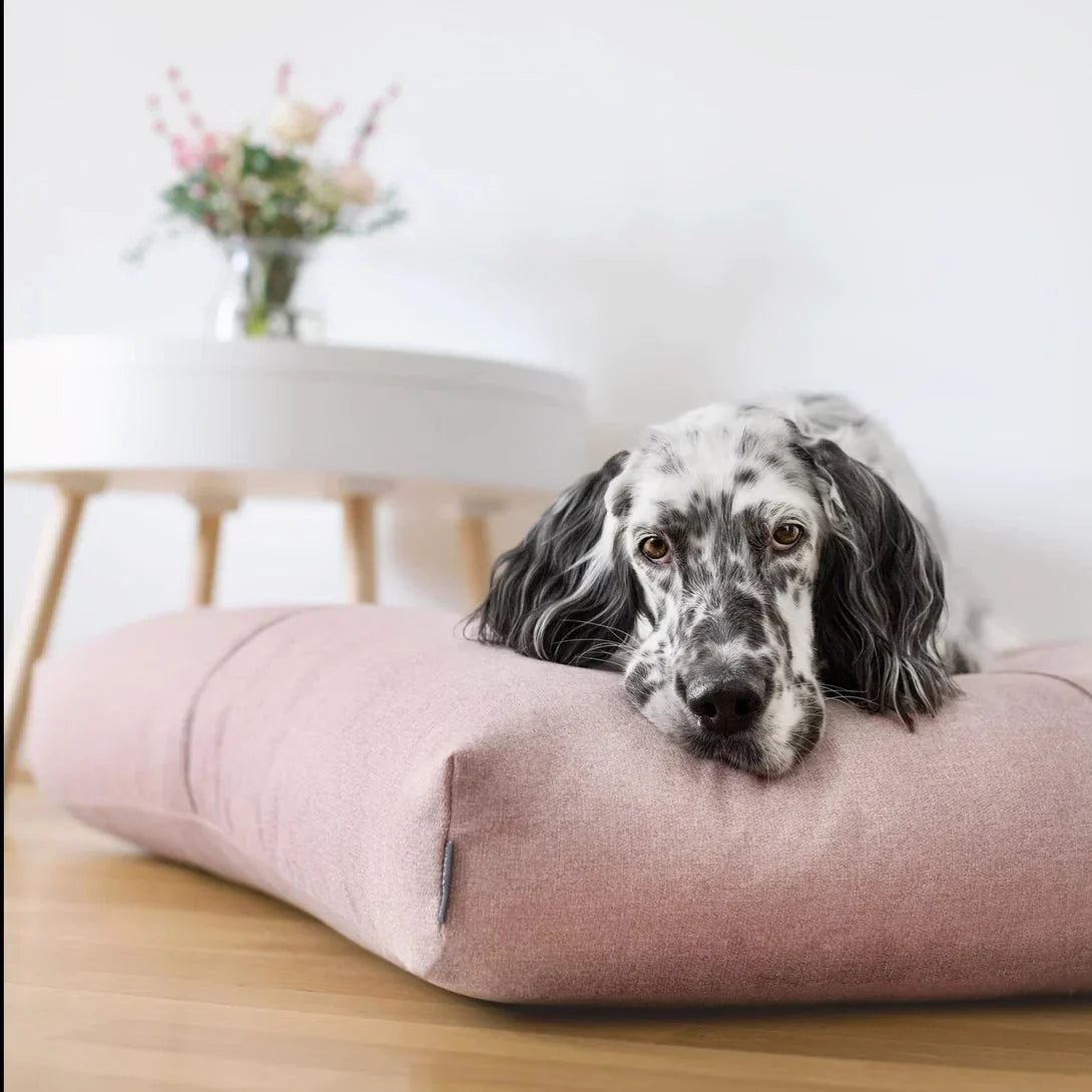 Labbvenn FINNO Dog Cushion