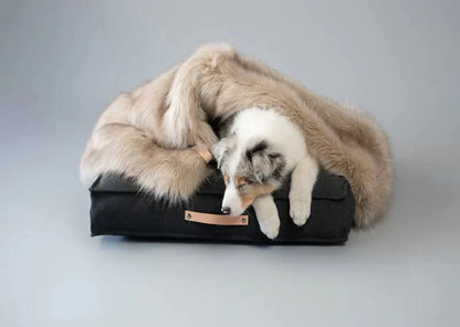 Labbvenn FÖRA Dog Blanket