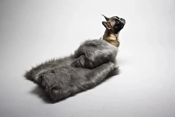 Labbvenn FÖRA Dog Blanket