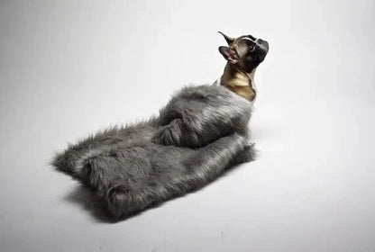 Labbvenn FÖRA Dog Blanket