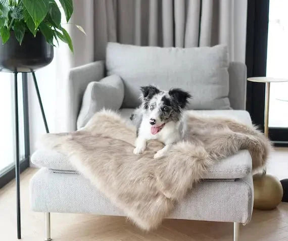Labbvenn FÖRA Dog Blanket