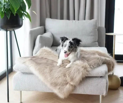 Labbvenn FÖRA Dog Blanket