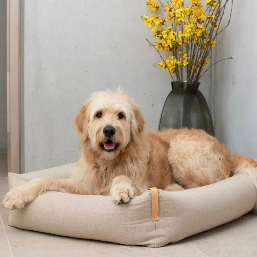 Labbvenn MOE Dog Bed