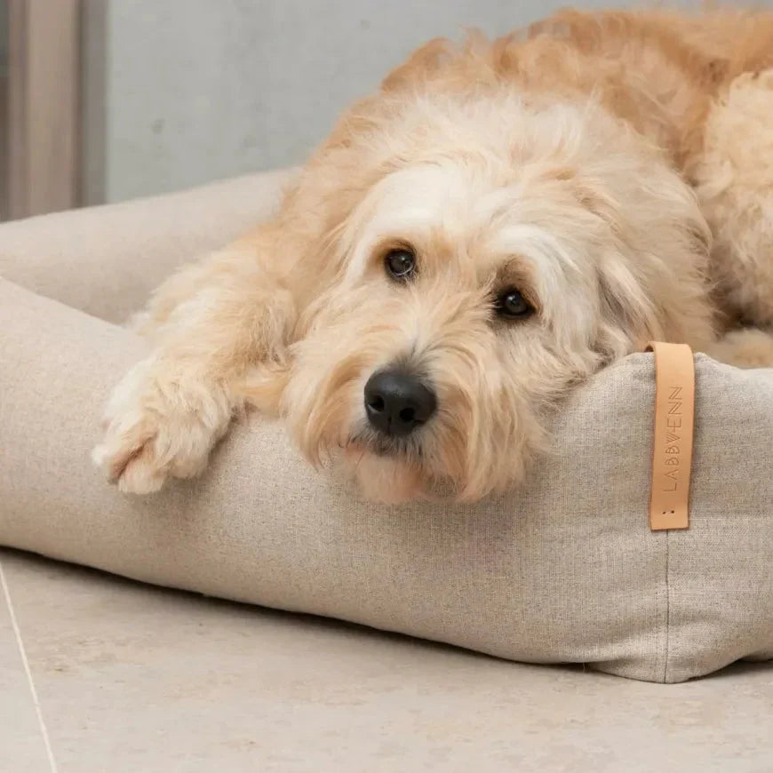 Labbvenn MOE Dog Bed