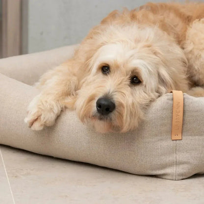 Labbvenn MOE Dog Bed