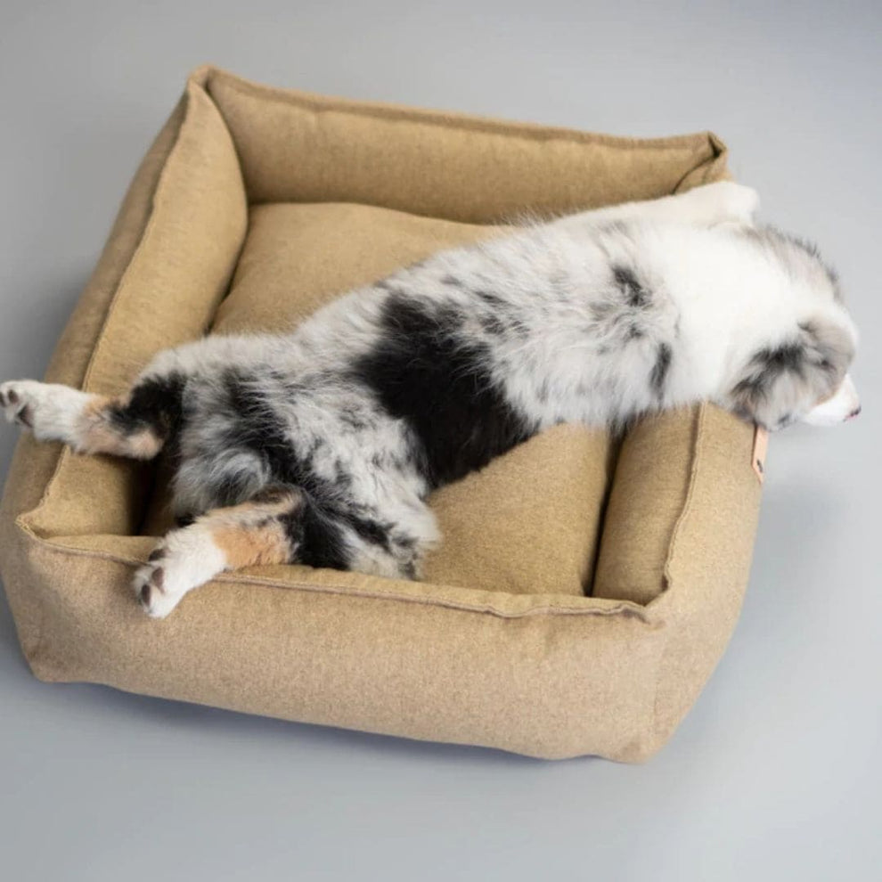 Labbvenn MØVIK Dog Bed