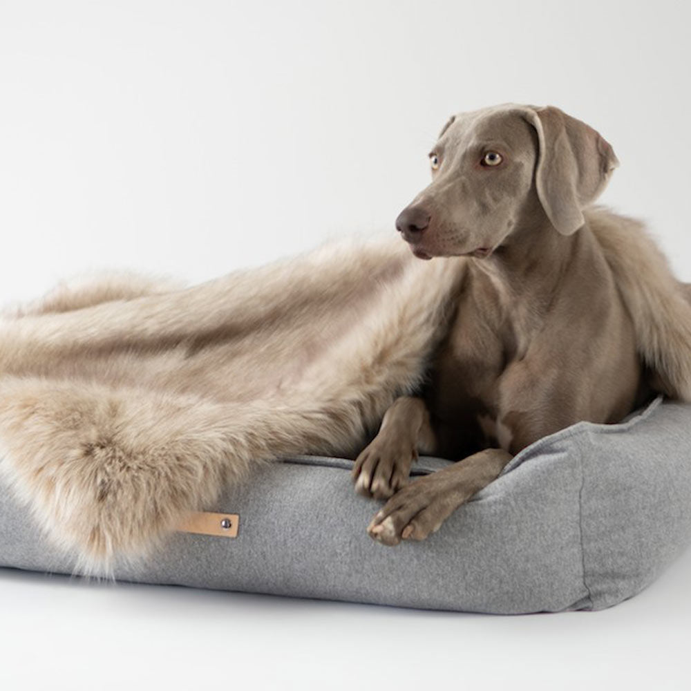 Labbvenn MØVIK Dog Bed